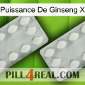 Ginseng Power X 17